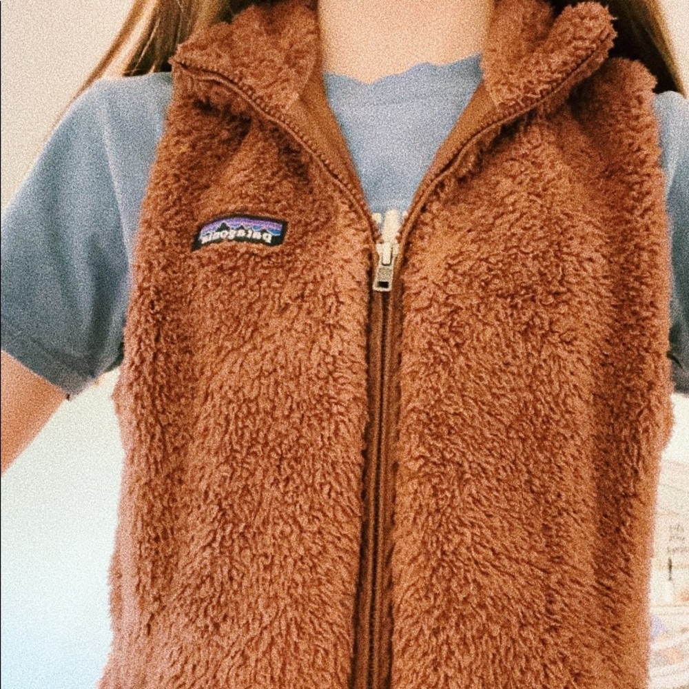 patagonia vest